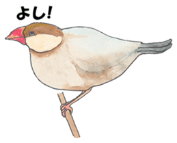 Lord Java sparrow's heavenly words. sticker #6573172