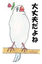 Lord Java sparrow's heavenly words. sticker #6573173