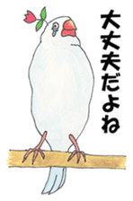 Lord Java sparrow's heavenly words. sticker #6573173