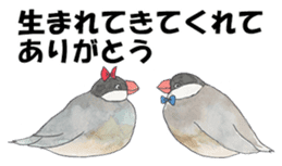 Lord Java sparrow's heavenly words. sticker #6573176