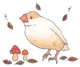 Lord Java sparrow's heavenly words. sticker #6573182