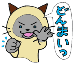 Siamese cat mix MARU 2 sticker #6575322