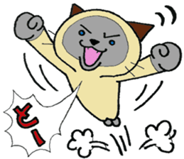 Siamese cat mix MARU 2 sticker #6575338