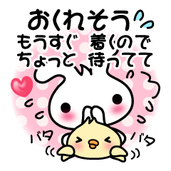 Pretty Rabbit "Usagi chan" message