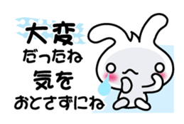 Pretty Rabbit "Usagi chan" message sticker #6576039