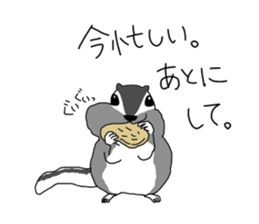 Welcome to the TUNDERE zoo. sticker #6577309