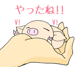 Hand riding pig sticker #6579712