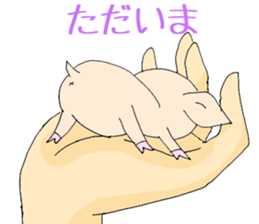 Hand riding pig sticker #6579715