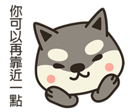 Shiba Inu Little Butt 4:Little Charcoal sticker #6580104