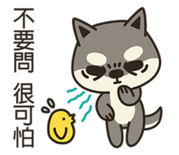 Shiba Inu Little Butt 4:Little Charcoal sticker #6580118