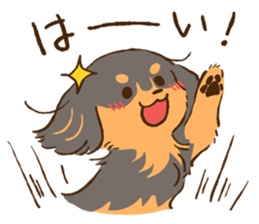 Miniature dachshund and  Cats sticker #6581704