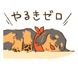 Miniature dachshund and  Cats sticker #6581710