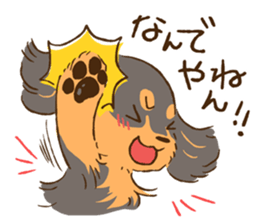 Miniature dachshund and  Cats sticker #6581717