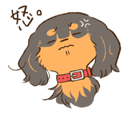 Miniature dachshund and  Cats sticker #6581721