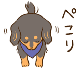 Miniature dachshund and  Cats sticker #6581722