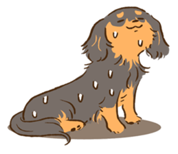 Miniature dachshund and  Cats sticker #6581730