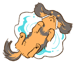 Miniature dachshund and  Cats sticker #6581732