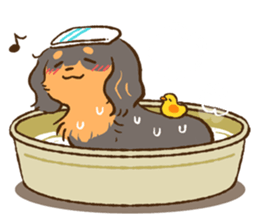 Miniature dachshund and  Cats sticker #6581733