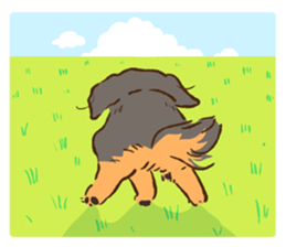 Miniature dachshund and  Cats sticker #6581735