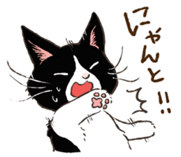 Miniature dachshund and  Cats sticker #6581739