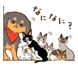 Miniature dachshund and  Cats sticker #6581742