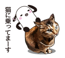 Mr. Mitsuami appeared. sticker #6582339