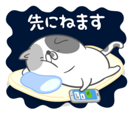 Nyan Puzzle Part.3 sticker #6583511