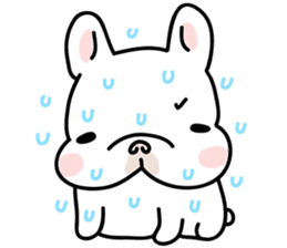 French Bulldog-White Bubble sticker #6583862