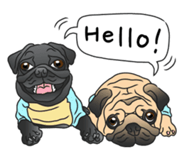 Garcon & Manzo - The Pug Bros sticker #6588784