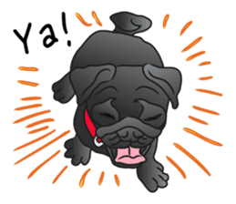 Garcon & Manzo - The Pug Bros sticker #6588829