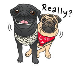 Garcon & Manzo - The Pug Bros sticker #6588837