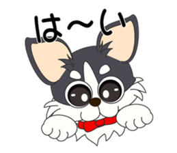 Daily life of a chihuahua sticker #6588867