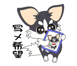 Daily life of a chihuahua sticker #6588878