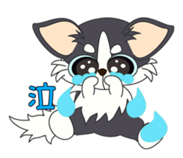 Daily life of a chihuahua sticker #6588881