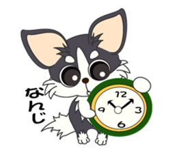 Daily life of a chihuahua sticker #6588897