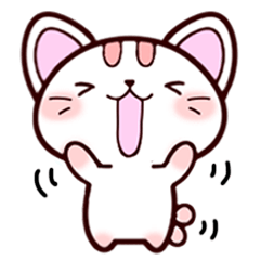 Daily conversation of kitten