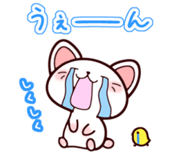 Daily conversation of kitten sticker #6589316