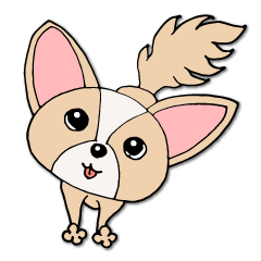 Lovely Dog Chihuahua