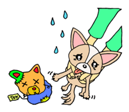 Lovely Dog Chihuahua sticker #6590110