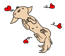 Lovely Dog Chihuahua sticker #6590114