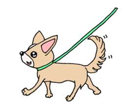 Lovely Dog Chihuahua sticker #6590120