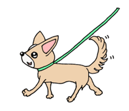 Lovely Dog Chihuahua sticker #6590120