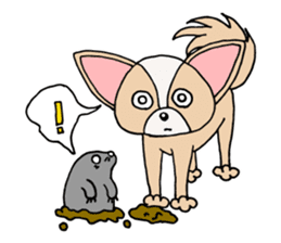 Lovely Dog Chihuahua sticker #6590123