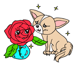 Lovely Dog Chihuahua sticker #6590126