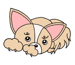 Lovely Dog Chihuahua sticker #6590135