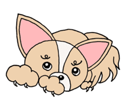 Lovely Dog Chihuahua sticker #6590135