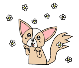 Lovely Dog Chihuahua sticker #6590143