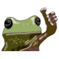 Realistic Frog By Kotawan Realistic Frog By Kotawan