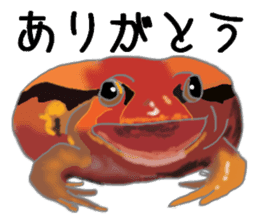 Realistic Frog sticker #6590586
