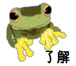 Realistic Frog sticker #6590587